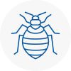 Bed Bug Extermination In Esher