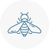 Bee Nest Removal Esher