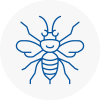 Esher Hornet Nest Removals