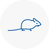 Mice Exterminators In Esher