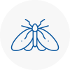 Moth Control Specialists In Esher