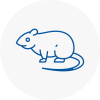 Rat Control Esher