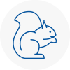 Esher Rodent Removals