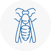 Esher Wasp Nest Removal